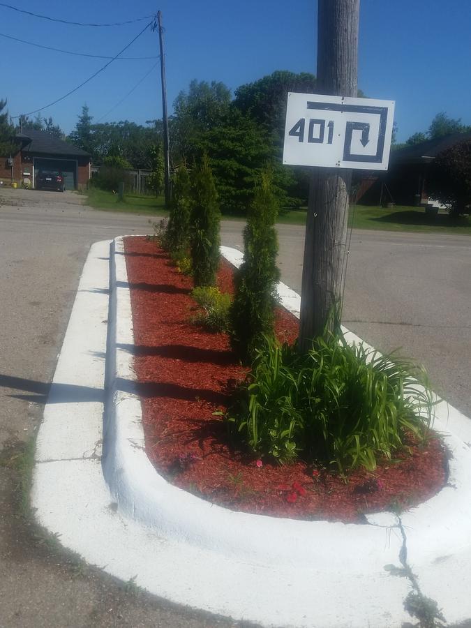 Twin Oaks Motel Orono Extérieur photo